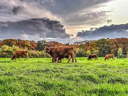 Nice Accommodation With a Dishwasher, in Twente