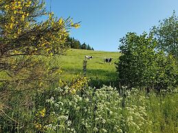 Nice Holiday Home in Auw Near Lake