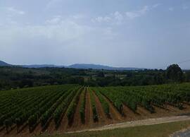 Tasteful Apartment With Shared Pool