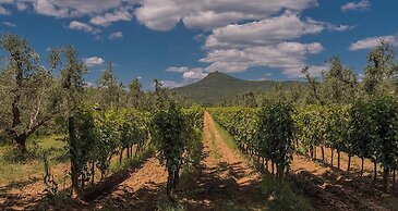 Tasteful Apartment With Shared Pool