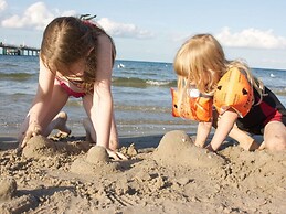 Cormorant in the Villa Malepartus Binz