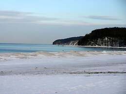 Cormorant in the Villa Malepartus Binz