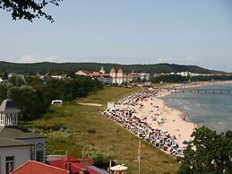 Cormorant in the Villa Malepartus Binz