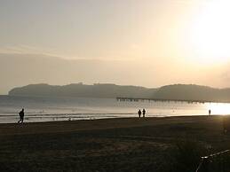 Cormorant in the Villa Malepartus Binz