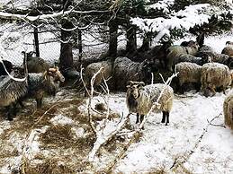 4 Star Holiday Home in Vikholmen