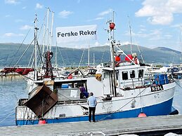 4 Star Holiday Home in Vikholmen