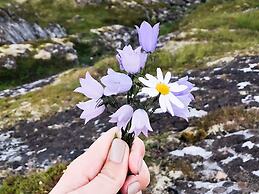 4 Star Holiday Home in Vikholmen