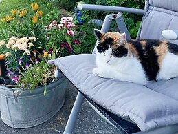 4 Star Holiday Home in Vikholmen