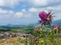 Nice Apartment in Seggiano