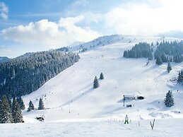 Amazing Apartment in Bayrischzell With Wellness