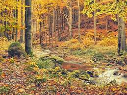 Nice Apartment in Hahnenklee