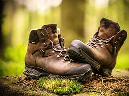 Nice Apartment in Hahnenklee