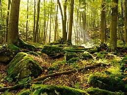 Nice Apartment in Hahnenklee