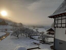 Fantastic Apartment in Oberkirch