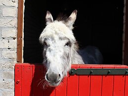 Detached Holiday Home Near Nijmegen
