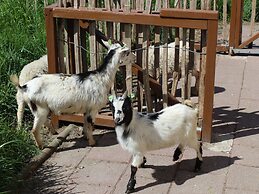 Detached Holiday Home Near Nijmegen