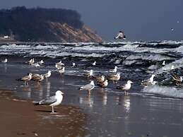 Strandhus Baabe Haus 229