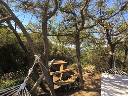 Belvilla by OYO Castagneto 7 Nautilus