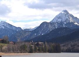 Alpine Escape & Playtime