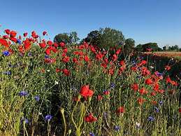 Holiday Home Wiedblick