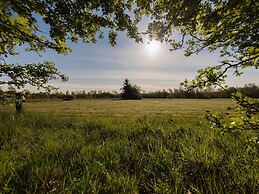 Holiday Home With Sauna in Drents-friese Wold