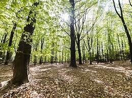 Holiday Home With Sauna in Drents-friese Wold