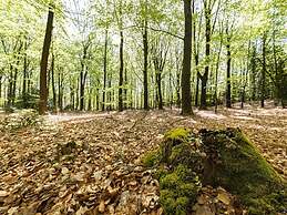 Holiday Home With Sauna in Drents-friese Wold