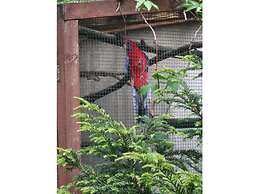 Harz Enjoyment Modern Retreat