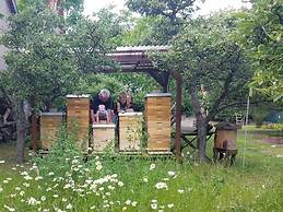 Harz Enjoyment Modern Retreat