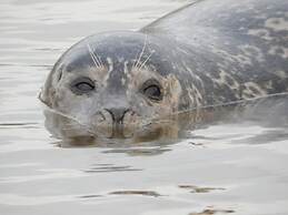 14 Bohler Brise Modern Retreat