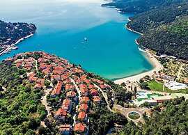 Villa With Pool in Labin