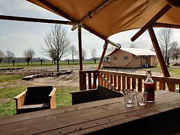 Tent Lodge Near Forest