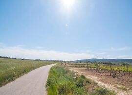 Cosy Villa in Sainte Valiere With Private Pool