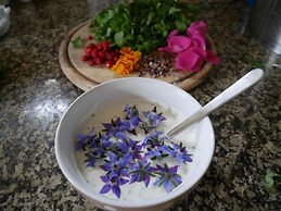 Holiday Apartment Wellness & Relaxation