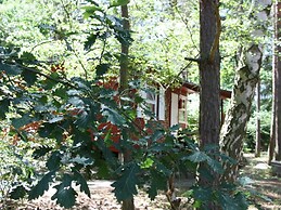 Haus am Kolberg Modern Retreat
