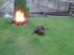 Holiday Apartment in the old Brewery