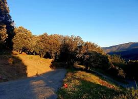 Cevennes Stone Retreat