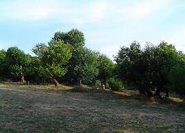 Cevennes Stone Retreat