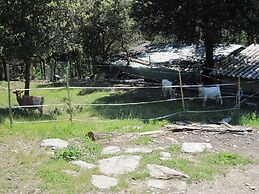 Holiday Home in Saint Germain de Calberte