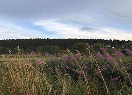 Ruckzugsort am Teich in Winterberg