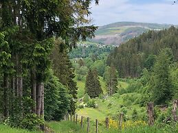 Holiday Home in the Countryside Near Winterberg
