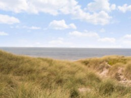 7 Person Holiday Home in Ulfborg