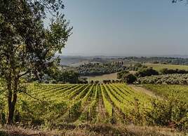 Villa Colombini Comfortable Holiday Residence