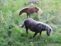 Holiday Apartment Finkennest