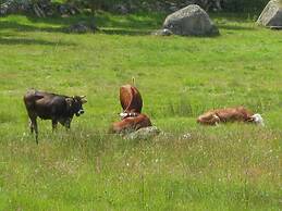 Holiday Apartment Finkennest