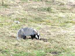 Holiday Apartment Finkennest