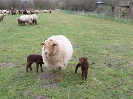 at the Organic Farm Angus-hof