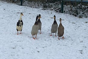 Nice Apartment in Himmelkron