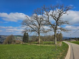 Well-equipped Holiday Home With Terrace