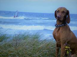 Sea View E&J Paul Comfortable Vacation Home